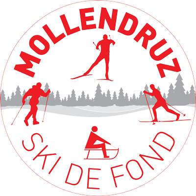 log-mollendruz